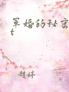 军婚的秘密txt