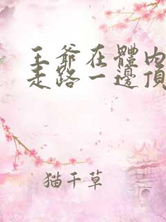 王爷在体内一边走路一边顶