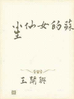 小仙女的苏撩先生