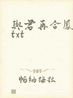 与君再合凤求凰txt