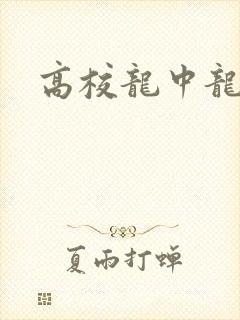 高校龙中龙