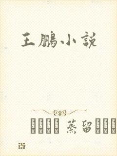 王鹏小说