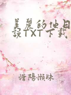 美丽的他日剧小说TXT下载