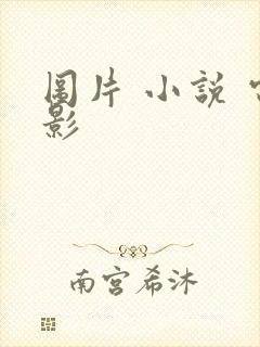 图片 小说 电影