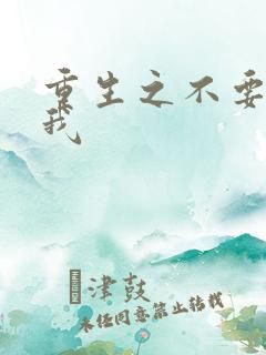 重生之不要爱上我