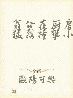 翁公在厨房和我猛烈撞击小说