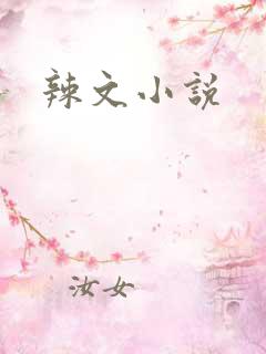 辣文小说
