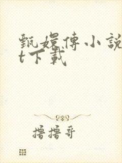 甄嬛传小说txt下载