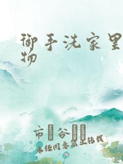 御手洗家里的事物