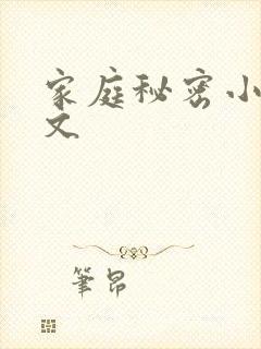 家庭秘密小说全文
