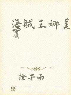 海贼王娜美h罗宾