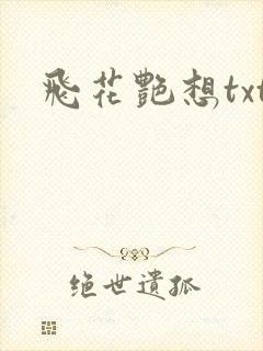 飞花艳想txt