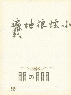 遍地狼烟小说下载