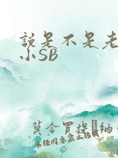 说是不是老公的小SB