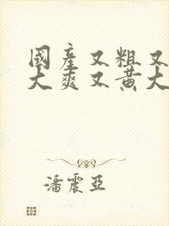 国产又粗又猛又大爽又黄大爷