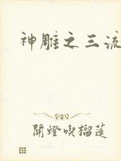 神雕之三流