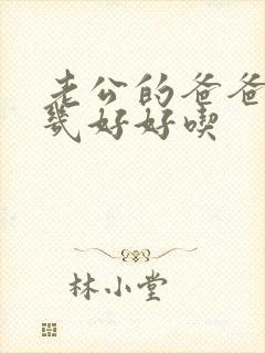 老公的爸爸的几几好好吃