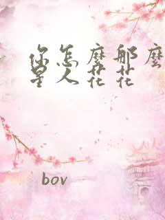 你怎么那么美汪星人花花