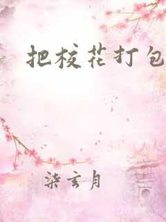 把校花打包带走