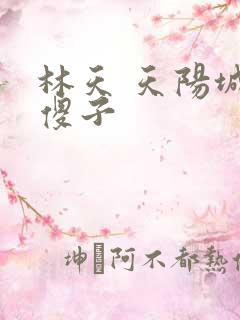 林天 天阳城 傻子