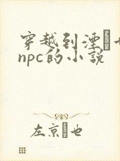 穿越到湮婸世界npc的小说