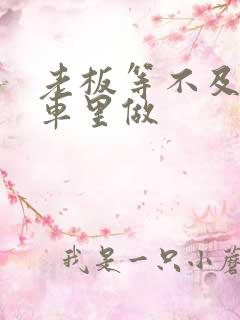 老板等不及了在车里做