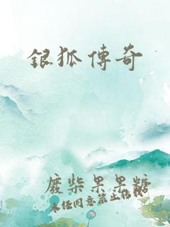 银狐传奇