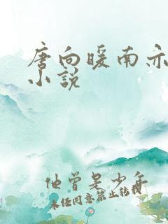 唐向暖南亦琛的小说