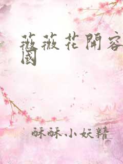 薇薇花开容颜倾国