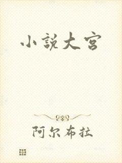小说大宫