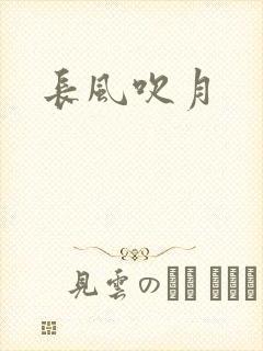 长风吹月