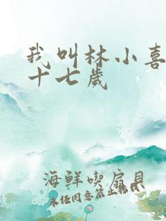 我叫林小喜今年十七岁