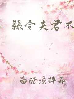 县令夫君不升堂