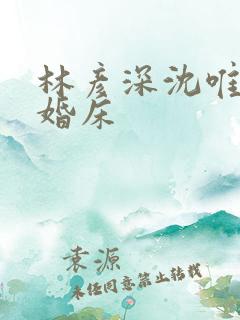 林彦深沈唯赖上婚床