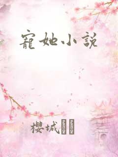 宠她小说