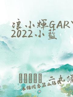 浪小辉GARY2022小蓝