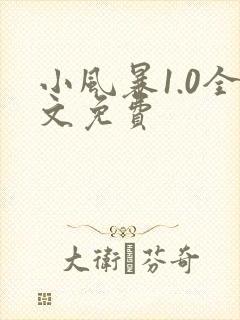 小风暴1.0全文免费
