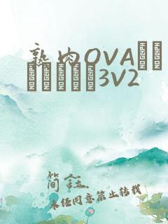 熟肉OVAちゃんはしたい3V2