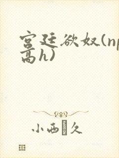 宫廷欲奴(np高h)
