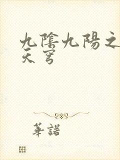 九阴九阳之武战天穹