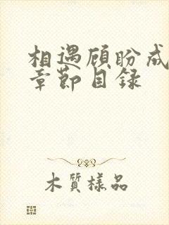 相遇顾盼成欢全章节目录