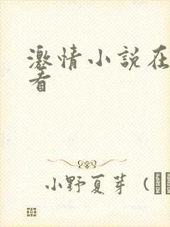 激情小说在线观看