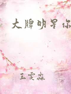 大牌明星你站住