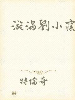 漩涡刘小寐