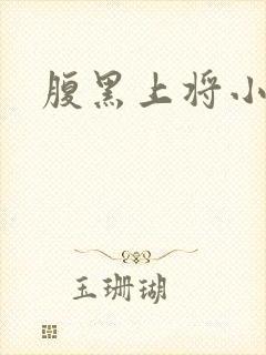 腹黑上将小小妻