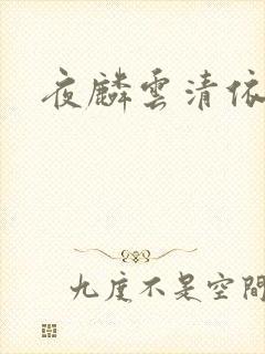 夜麟云清依小说