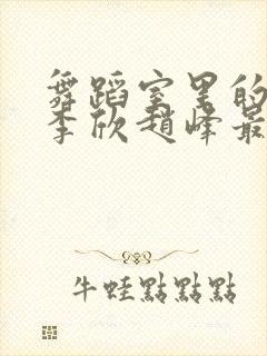 舞蹈室里的景色李欣赵峰最新章节