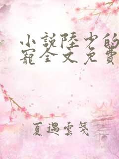 小说陆少的心尖宠全文免费阅读