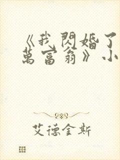 《我闪婚了个亿万富翁》小说