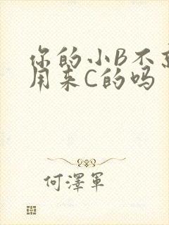 你的小B不就是用来C的吗